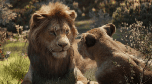 The Lion King 2019 Full Movie Download Free HD 720p Bluray